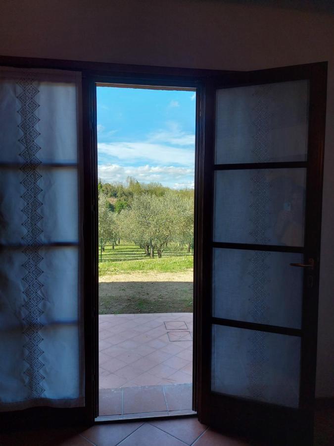 I Girasoli Di Lari - Bilocale La Margherita Apartment