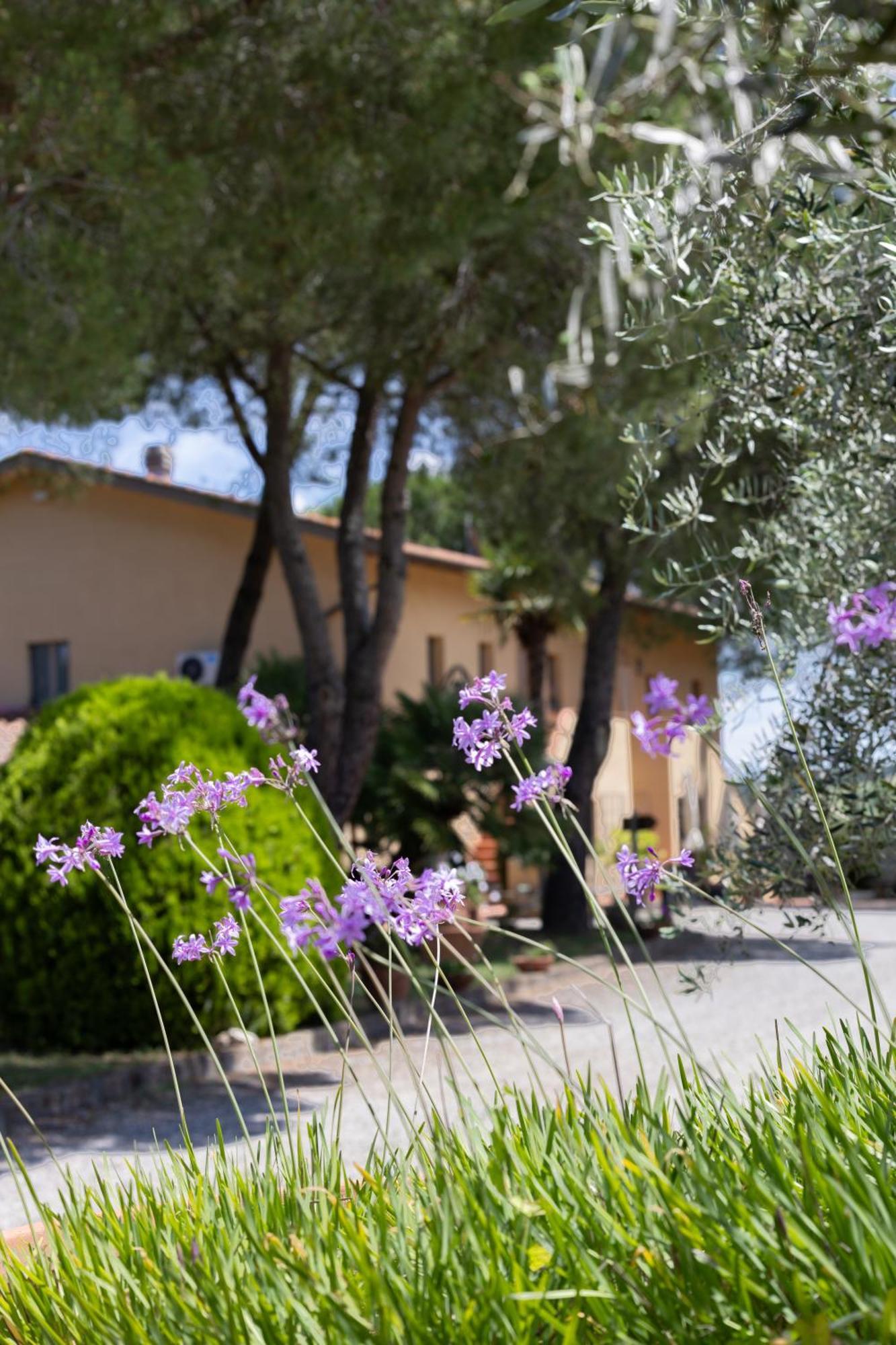 I Girasoli Di Lari - Bilocale La Margherita Apartment
