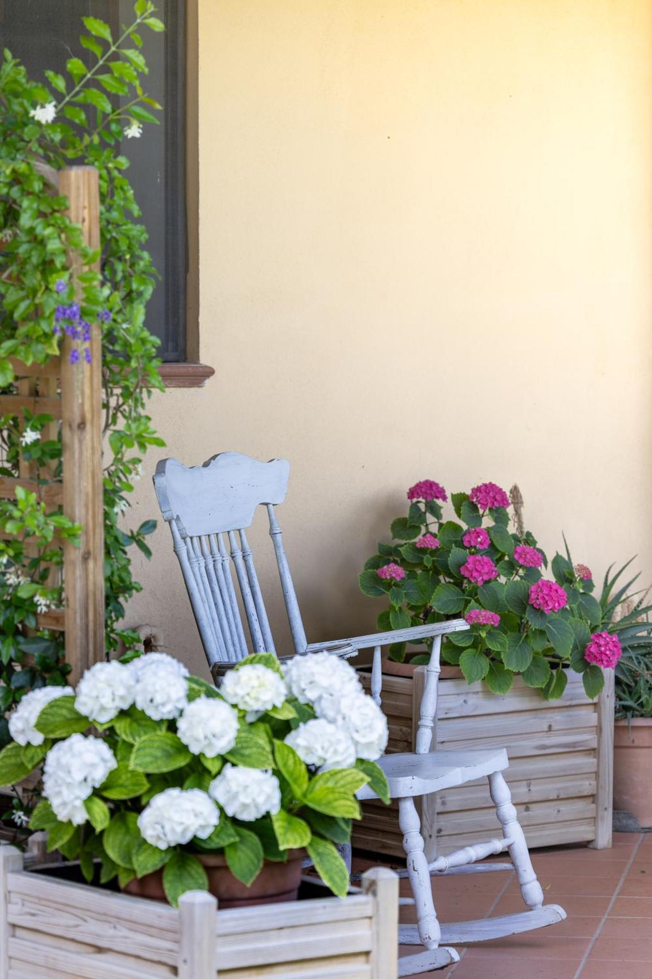 I Girasoli Di Lari - Bilocale La Margherita Apartment *